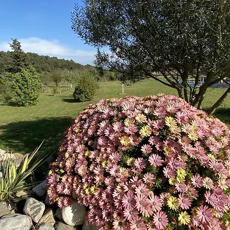 Tranquil With Pool Vila Lézignan-Corbières