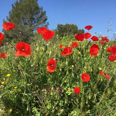 Tranquil With Pool Lézignan-Corbières