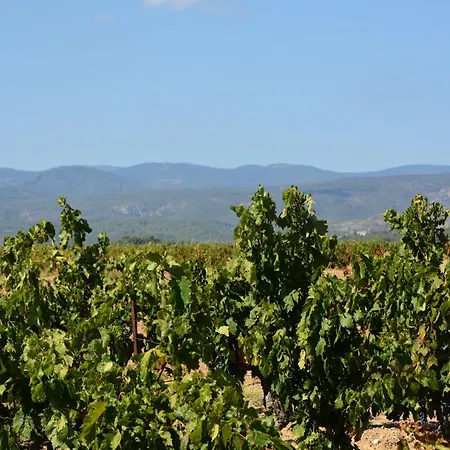 Tranquil With Pool * Lézignan-Corbières