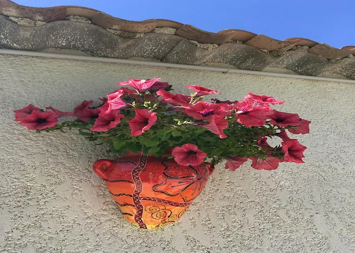 Tranquil With Pool Lézignan-Corbières