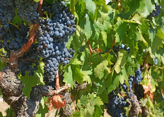 Tranquil With Pool Villa *