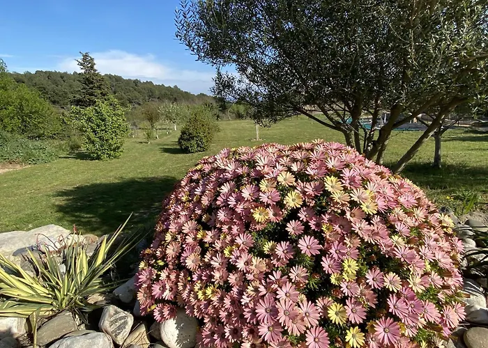 Tranquil With Pool Villa Lézignan-Corbières