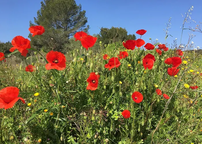 Tranquil With Pool Lézignan-Corbières