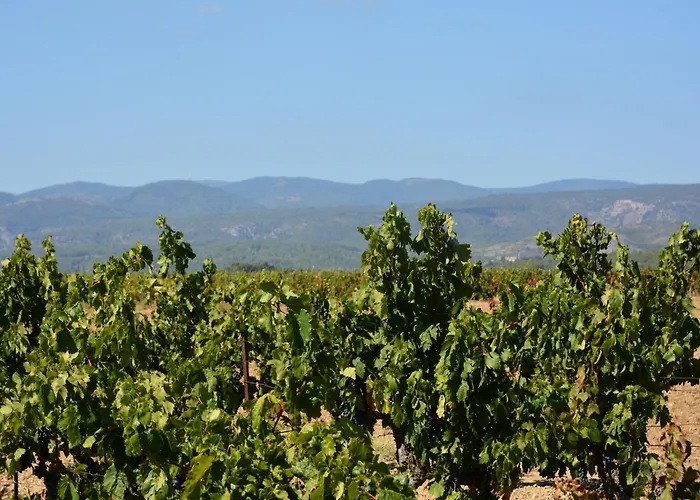 Tranquil With Pool * Lézignan-Corbières